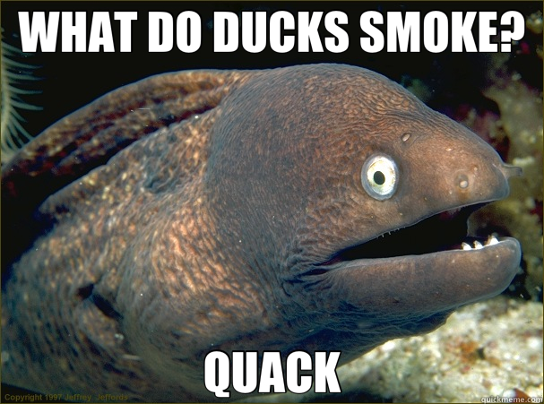 WHAT DO DUCKS SMOKE? QUACK  Bad Joke Eel