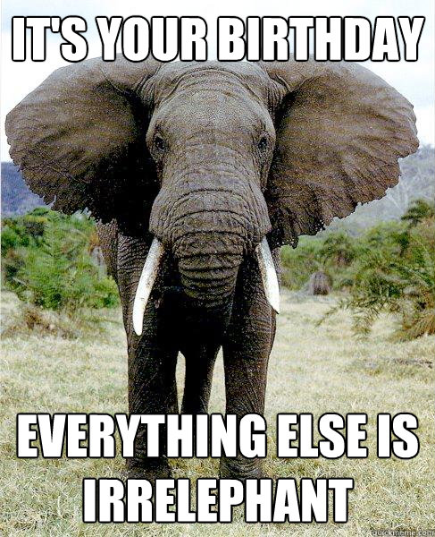it's your birthday everything else is irrelephant  Irrelevant Elephant