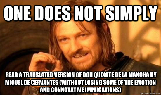 One does not simply  read a translated version of Don Quixote de la Mancha by Miquel de Cervantes (without losing some of the emotion and connotative implications)  Don Quixote de la Mancha Boromir