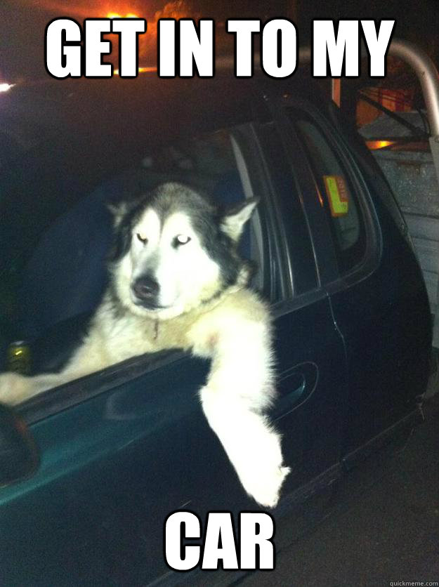 get in to my  car  Mean Dog