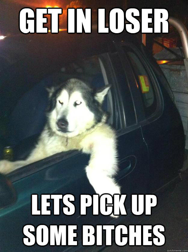 Get in loser Lets pick up some bitches  Mean Dog