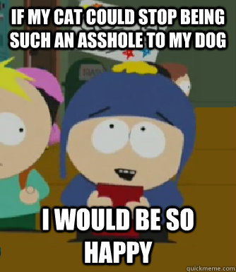 If my cat could stop being such an asshole to my dog I would be so happy  Craig - I would be so happy