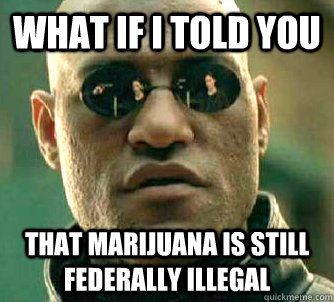 what if i told you that marijuana is still federally illegal  Matrix Morpheus