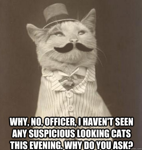 Why, no, Officer, i haven't seen any suspicious looking cats this evening. Why do you ask?  Original Business Cat
