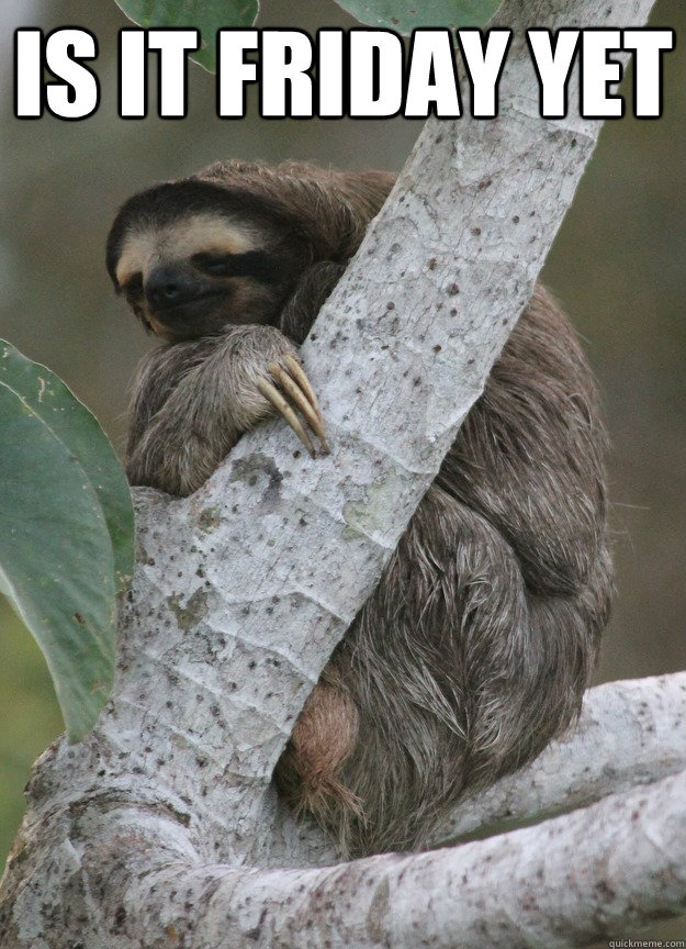 is it friday yet  - is it friday yet   sloth friday