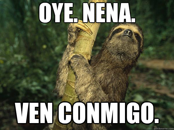 Oye. Nena.  Ven conmigo.  Cuban Sloth