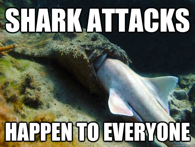 SHARK ATTACKS Happen to everyone  Sharkattack