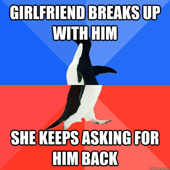 Girlfriend breaks up with him She keeps asking for him back  Socially Awkward Awesome Penguin