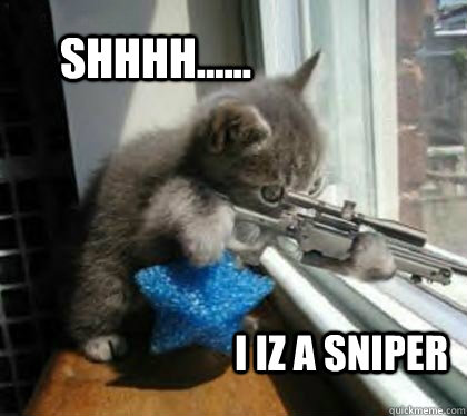 shhhh...... i iz a sniper  