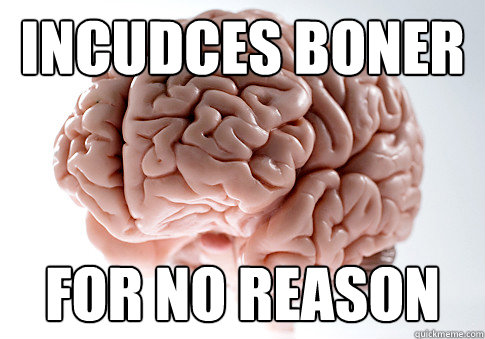 Incudces Boner for no reason  Scumbag Brain