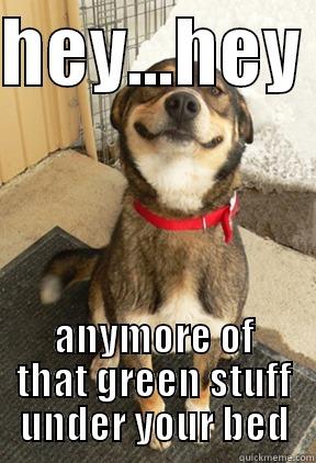 HEY...HEY  ANYMORE OF THAT GREEN STUFF UNDER YOUR BED Good Dog Greg
