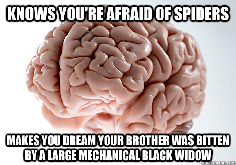 Knows you're afraid of spiders makes you dream your brother was bitten by a large mechanical black widow  Scumbag Brain