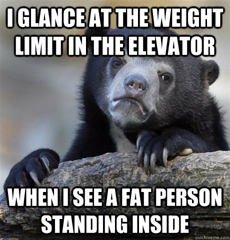 I glance at the weight limit in the elevator when i see a fat person standing inside  Confession Bear