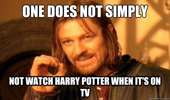 One Does Not Simply not watch harry potter when it's on tv  Boromir
