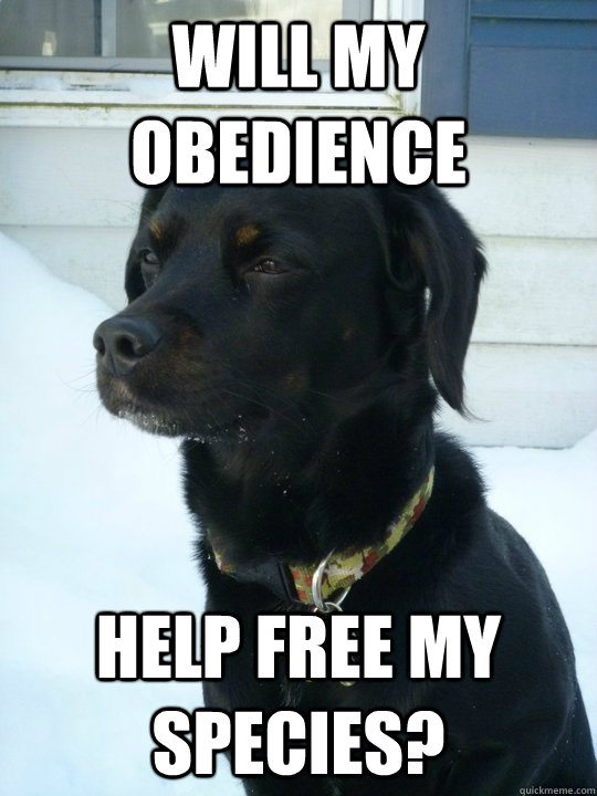 will my obedience help free my species?  Philosophical Puppy