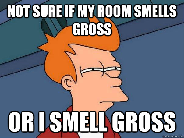 Not sure if my room smells gross Or I smell gross  Futurama Fry