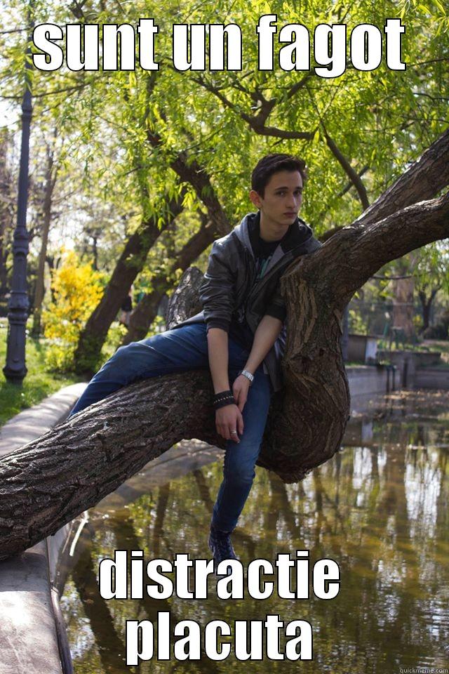 SUNT UN FAGOT DISTRACTIE PLACUTA Misc
