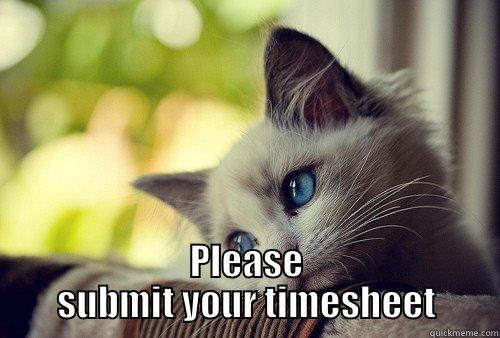 Excuse me... -  PLEASE SUBMIT YOUR TIMESHEET First World Problems Cat