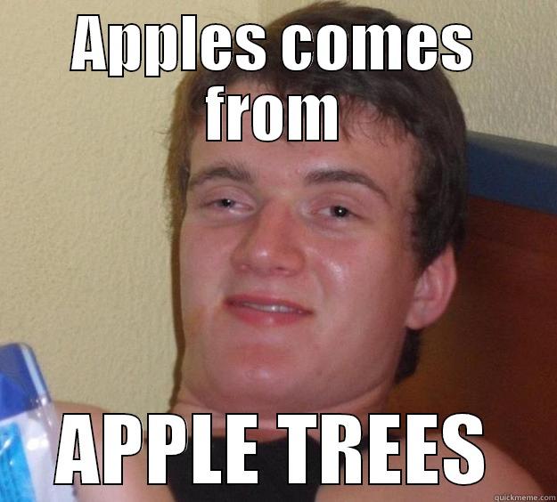 apples you dont. - APPLES COMES FROM APPLE TREES 10 Guy