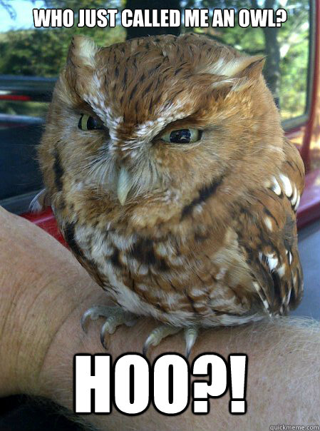 who just called me an owl? HOO?!  Tickle me Owl-mo