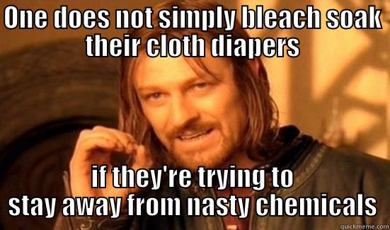 ONE DOES NOT SIMPLY BLEACH SOAK THEIR CLOTH DIAPERS IF THEY'RE TRYING TO STAY AWAY FROM NASTY CHEMICALS Boromir