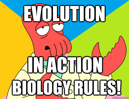 Evolution In action Biology rules! - Evolution In action Biology rules!  Misc