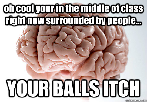oh cool your in the middle of class right now surrounded by people... YOUR BALLS ITCH   Scumbag Brain