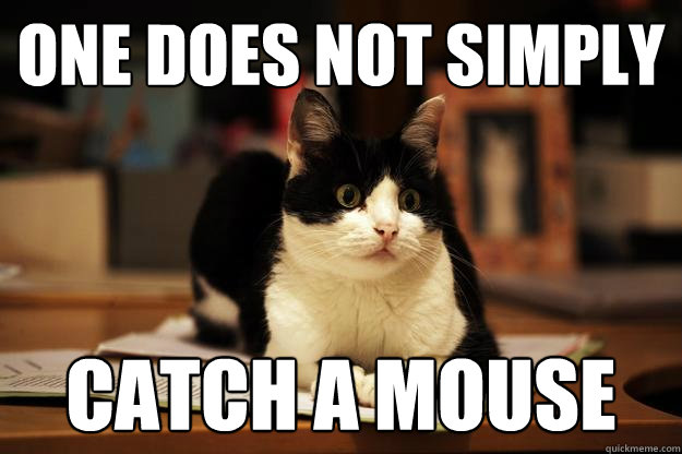 one does not simply catch a mouse - one does not simply catch a mouse  Misc