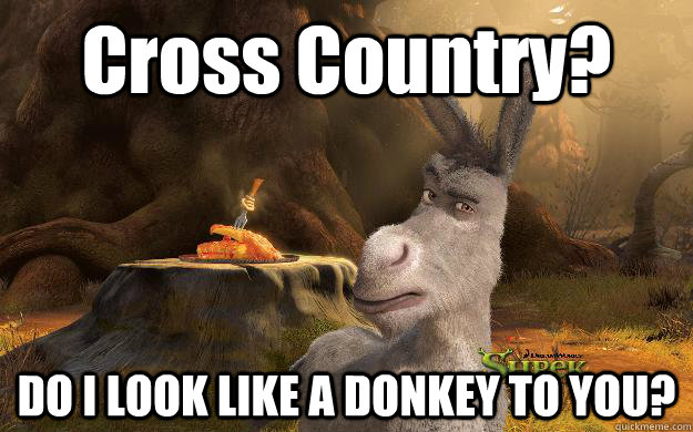 Cross Country? DO I LOOK LIKE A DONKEY TO YOU?   