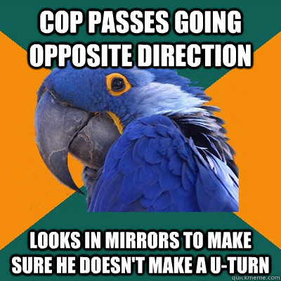Cop passes going opposite direction Looks in mirrors to make sure he doesn't make a U-Turn  Paranoid Parrot