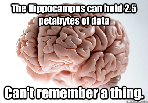 The Hippocampus can hold 2.5 petabytes of data  Can't remember a thing.   Scumbag Brain
