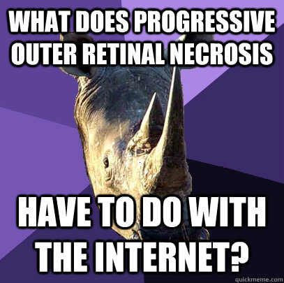What does Progressive outer retinal necrosis have to do with the internet?  Sexually Oblivious Rhino