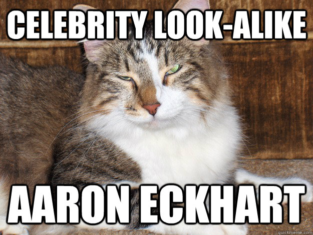 Celebrity Look-Alike Aaron Eckhart  Celebrity Look-Alike