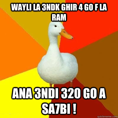 wayli la 3ndk ghir 4 Go f la ram ana 3ndi 320 go a sa7bi !  Tech Impaired Duck