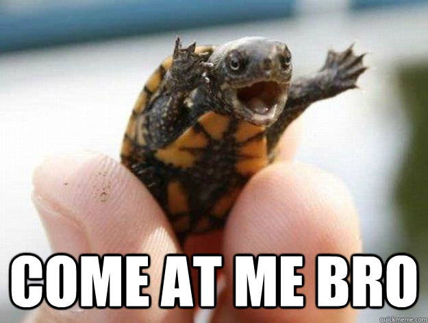 come at me bro - come at me bro  Angry Turtle