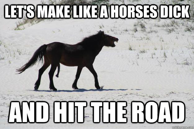 Let's make like a horses dick and hit the road - Let's make like a horses dick and hit the road  Misc