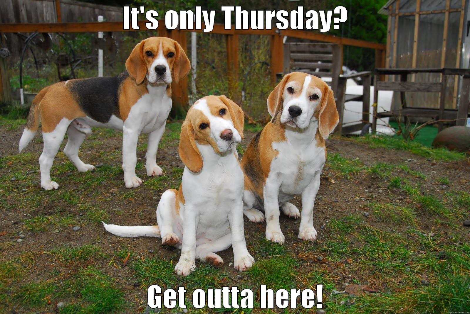  IT'S ONLY THURSDAY?   GET OUTTA HERE!  Misc