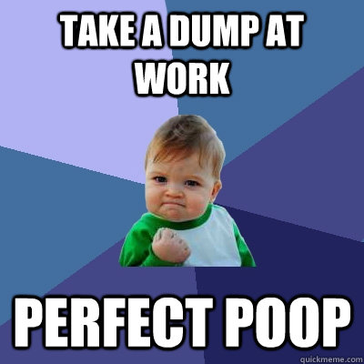 TAKE A DUMP AT WORK PERFECT POOP  Success Kid