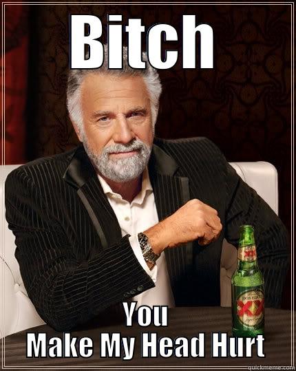 BITCH YOU MAKE MY HEAD HURT The Most Interesting Man In The World