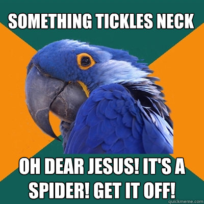 something tickles neck oh dear jesus! it's a spider! get it off!  Paranoid Parrot
