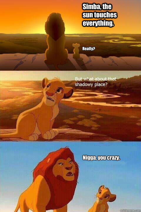 Simba, the sun touches everything. Really? Nigga, you crazy.  Lion King Shadowy Place