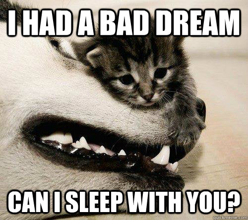 I had a bad dream can i sleep with you? - I had a bad dream can i sleep with you?  Sad meme is sad