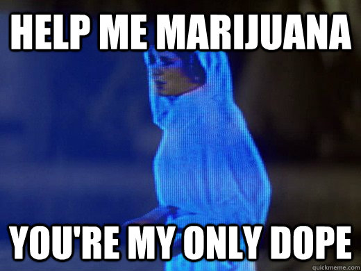 Help me Marijuana you're my only dope - Help me Marijuana you're my only dope  lyrics leia