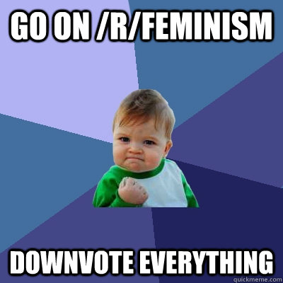 go on /r/feminism downvote everything  Success Kid