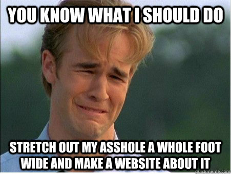 you know what i should do stretch out my asshole a whole foot wide and make a website about it  1990s Problems