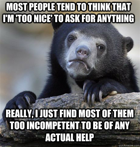 Most people tend to think that I'm 'too nice' to ask for anything Really, I just find most of them too incompetent to be of any actual help - Most people tend to think that I'm 'too nice' to ask for anything Really, I just find most of them too incompetent to be of any actual help  Confession Bear