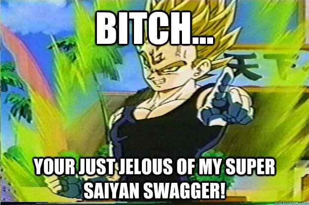 bitch... your just jelous of my super saiyan swagger!  Asshole Vegeta
