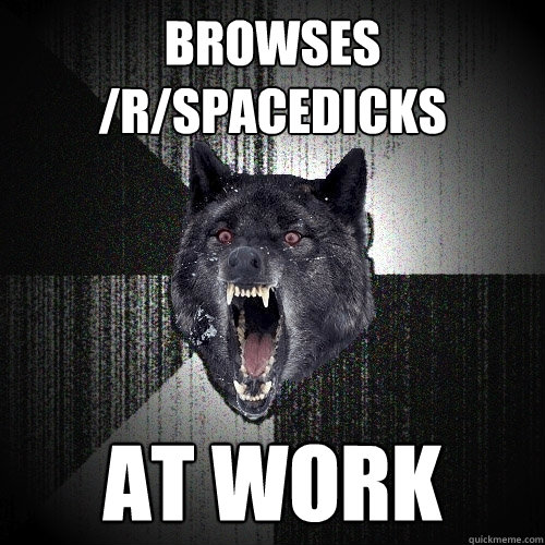 browses /r/spacedicks at work  Insanity Wolf