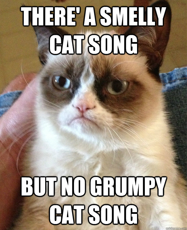 There' a smelly cat song but no grumpy cat song  Grumpy Cat