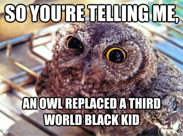 So you're telling me, An owl replaced a third world black kid  Skeptical Owl